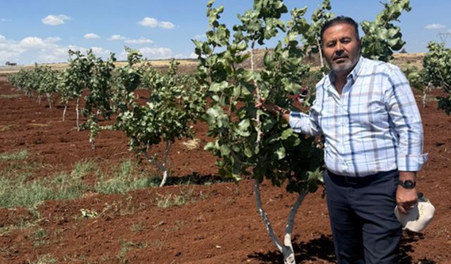 Çiftçi destek görmezse tarlasını satacak