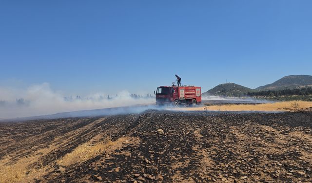 150 dönüm arazi kül oldu