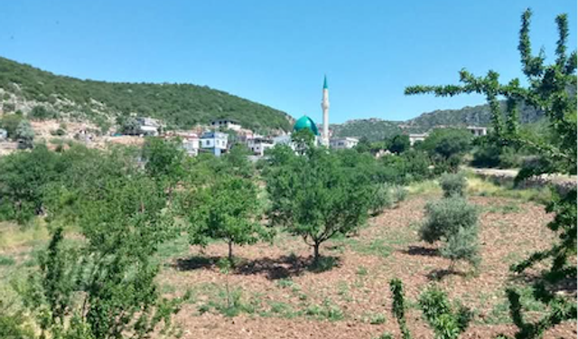 Üretici köylüye elektrik darbesi