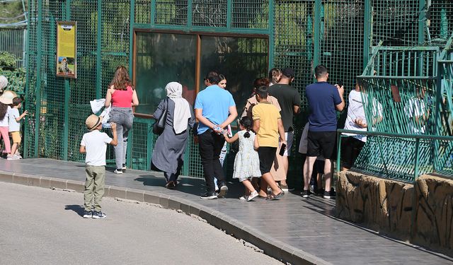 Yıl sonu hedefi 6 milyon