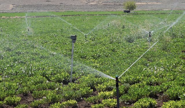 Akıllı sulama sistemi başladı