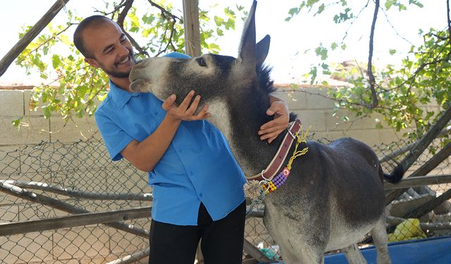 Annesi ölen eşeğe gözü gibi bakıyor