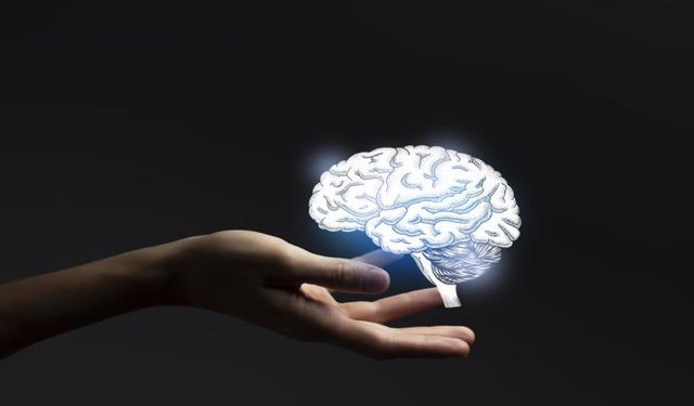 Alzheimer’ın kaynağı ortaya çıktı
