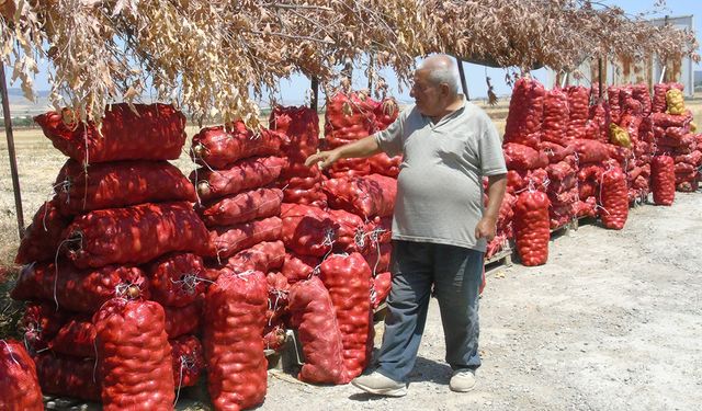 Hasat ettiği soğanı yolda satıyor