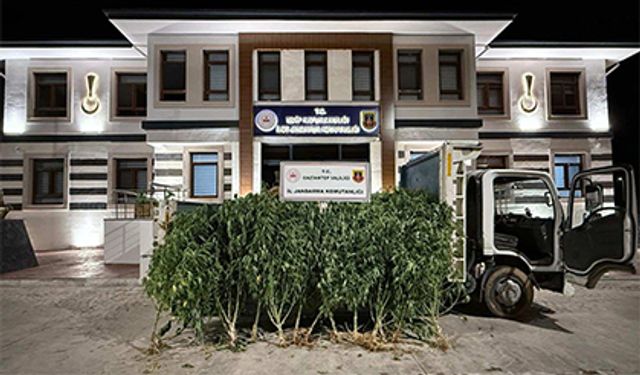 Bahçesine kenevir ekmiş