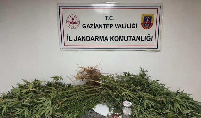 Jandarma taviz vermiyor
