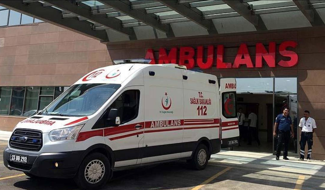 Kardeşlerin arazi kavgası kanlı bitti