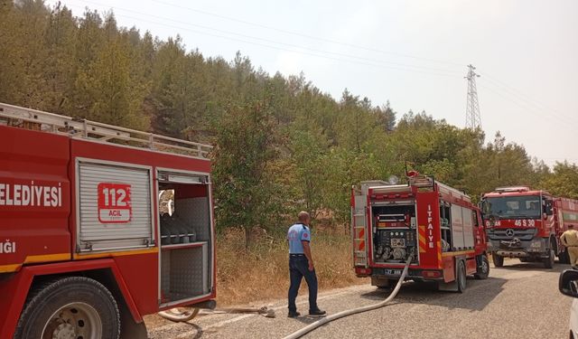 Mesire alanında yangın çıktı