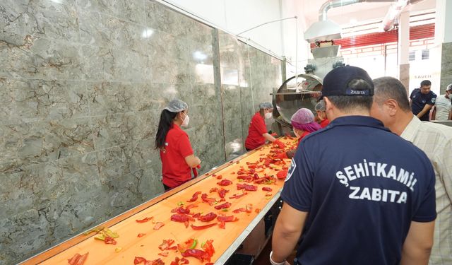 Salçacılar denetim altında