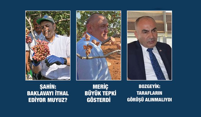 Fıstıkta ithalat tartışması
