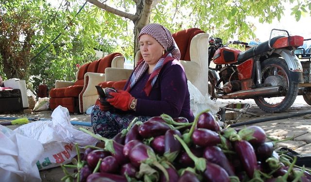 Kadınların kurutmalık mesaisi