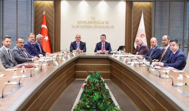 Tarihi yapılar için güç birliği