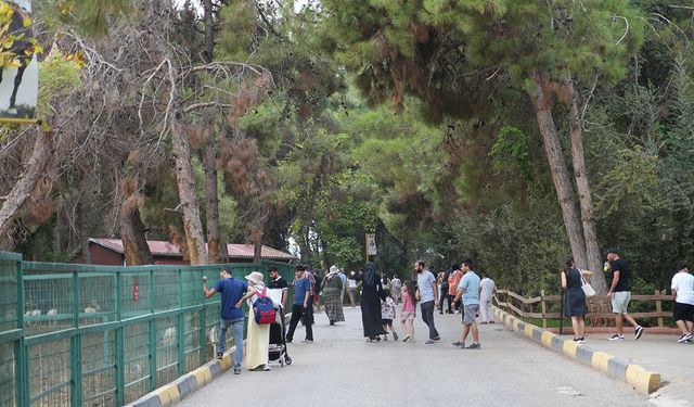 Gaziantep'te yılın rekoru kırıldı