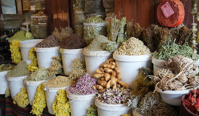 Aktarlarda mesai başladı