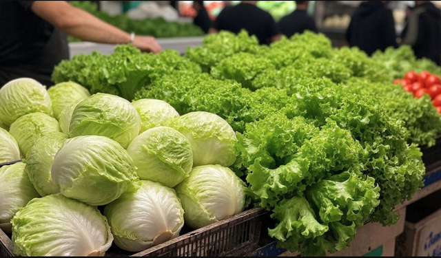 En fazla artış Marulda