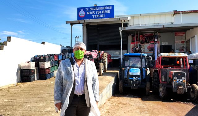 Nar suyu ve Nar ekşisi yolculuğu başladı