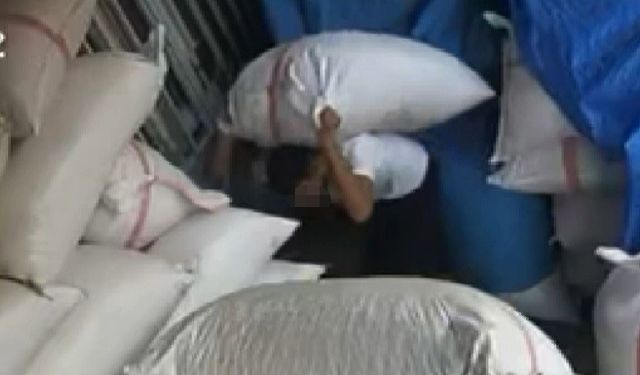 Yarım ton fıstık çaldı