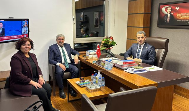 BOZGEYİK: UYUMLUYUZ