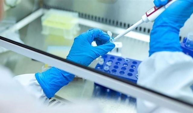 Kan testi kanser tanısında umut oldu