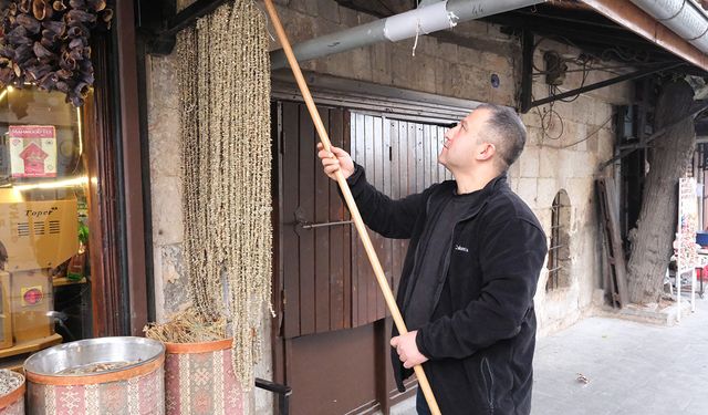 Kuru bamya altınla yarışıyor