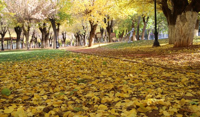 Parklar sonbahar renklerine büründü