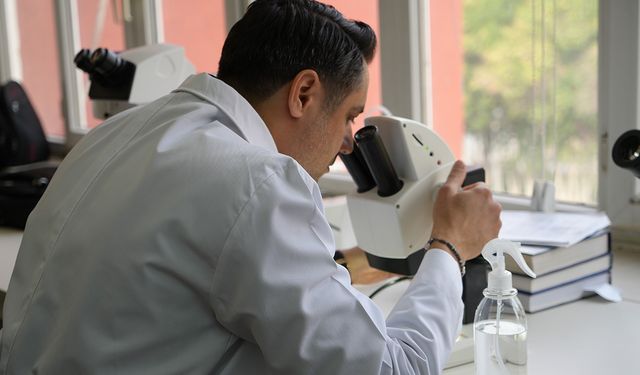 Üvez'ler için akademik açıklama