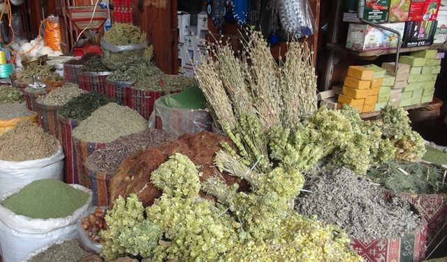 Aktarlar doldu taştı