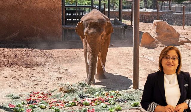 Fatma Şahin doğrusunu anlattı