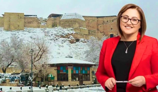 Şahin hem uyardı hem ulaşımda jest yaptı