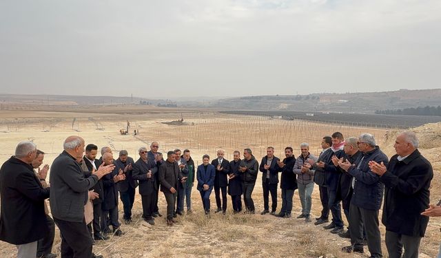 Vekil Şahin yerinde inceledi