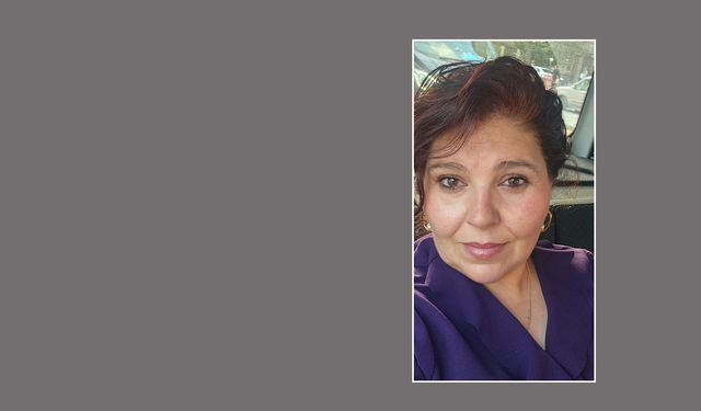 Trafikte süs plakaları?