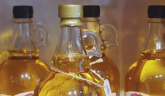 Diz Kireçlenmesinde Zeytinyağının Etkisi