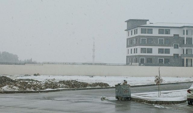 Çiftçinin yüzü gülüyor