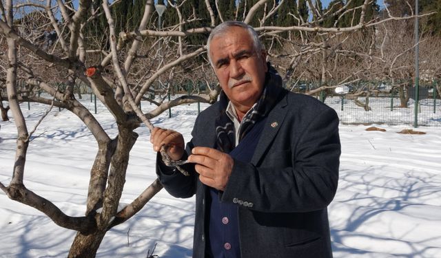 Tarımda umutlar arttı