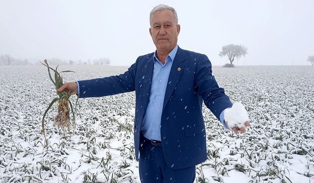 Sarımsak üreticilerinin kar sevinci