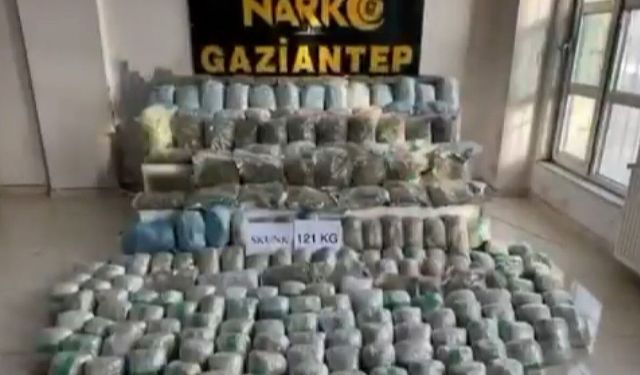 121 kilo skunk ele geçirildi