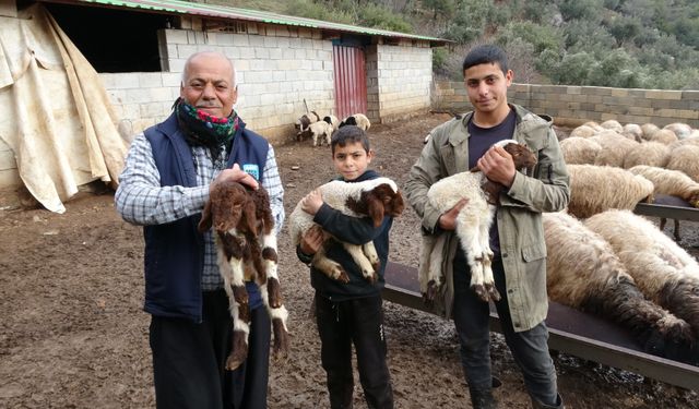 Besiciler destekle hayata tutundu