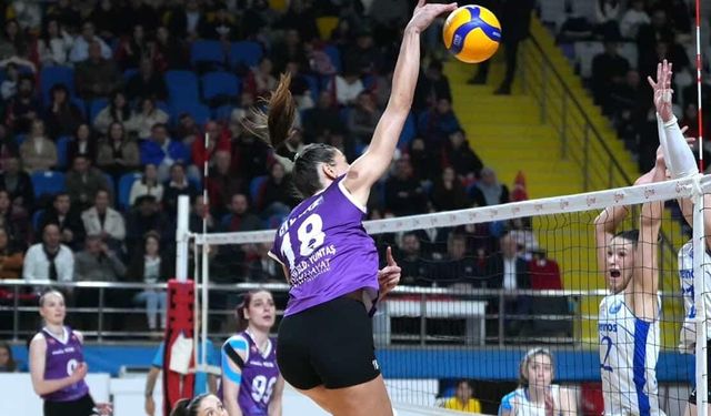 Merinos çıkış arıyor