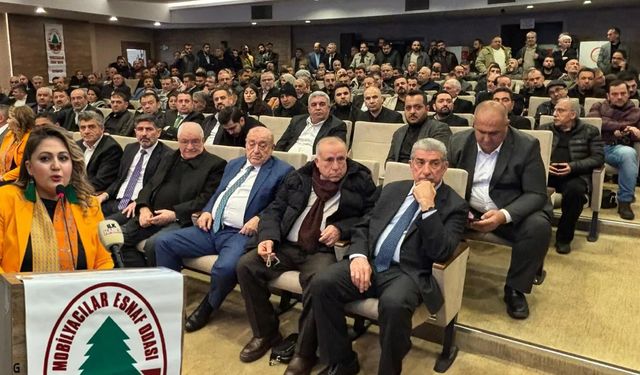 Mobilya Odasında devrim