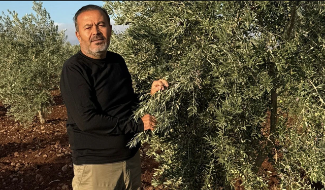 Gaziantep’te tarımda altın yıl