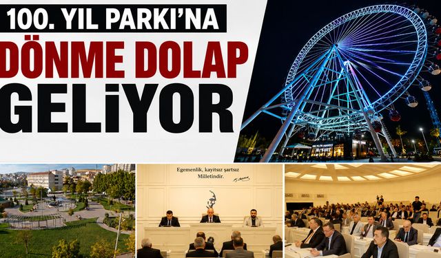 100. Yıl parkına dönme dolap