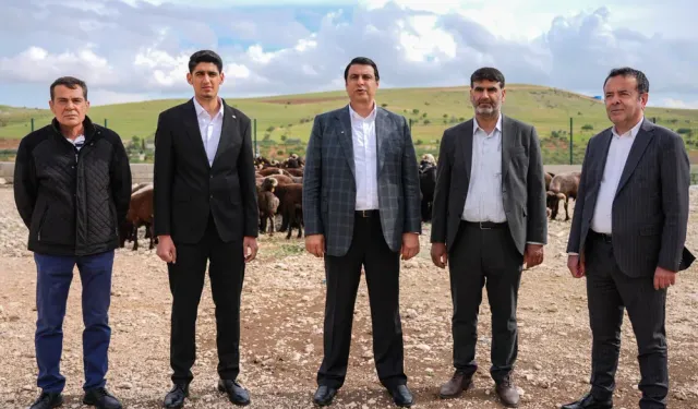 Başkan kurban fiyatlarını açıkladı