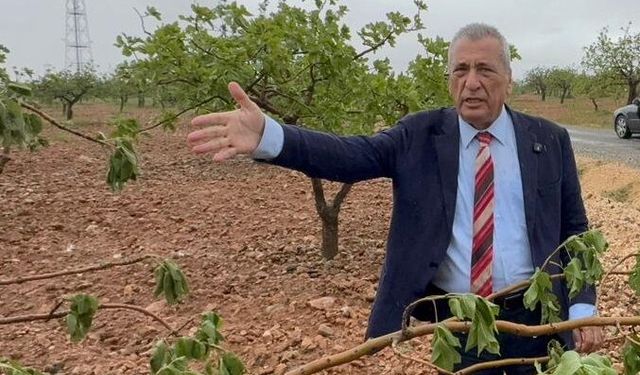 Gaziantepli çiftçiler perişan