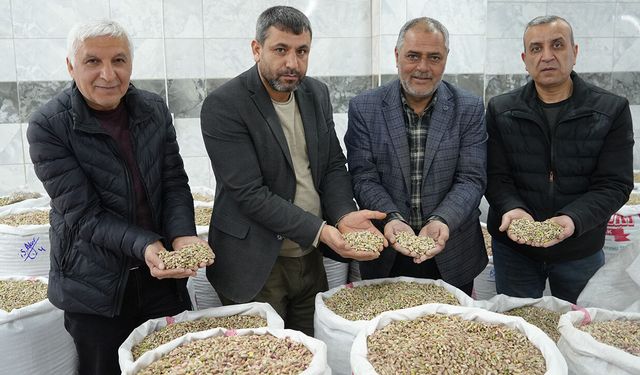 Antep fıstığında kriz: İhracat durma noktasında
