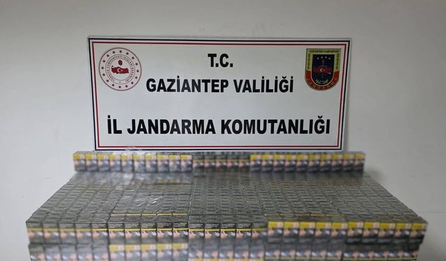Kaçakçılık operasyonunda gözaltı