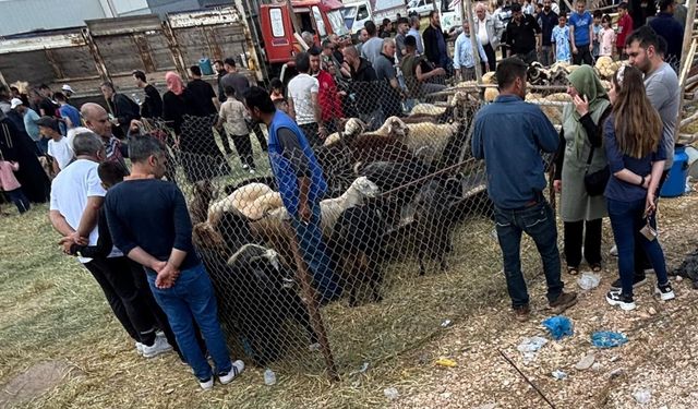Kurban pazarları doldu taştı