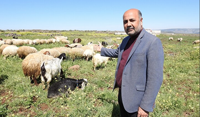 Kurbanlıklar cep yakacak