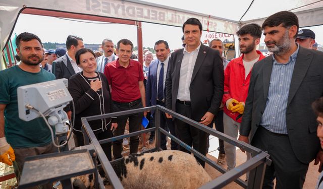 Şehitkamil bayrama hazır