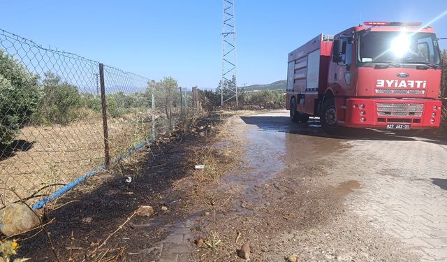 Zeytinlik alanda korkutan yangın