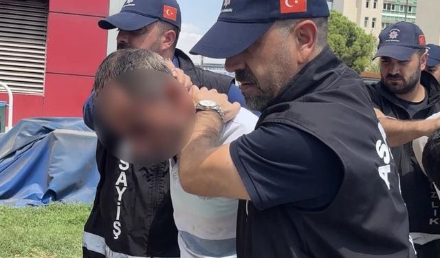 Milletvekili Meriç'i bıçaklayan baba ve oğlu tutuklandı